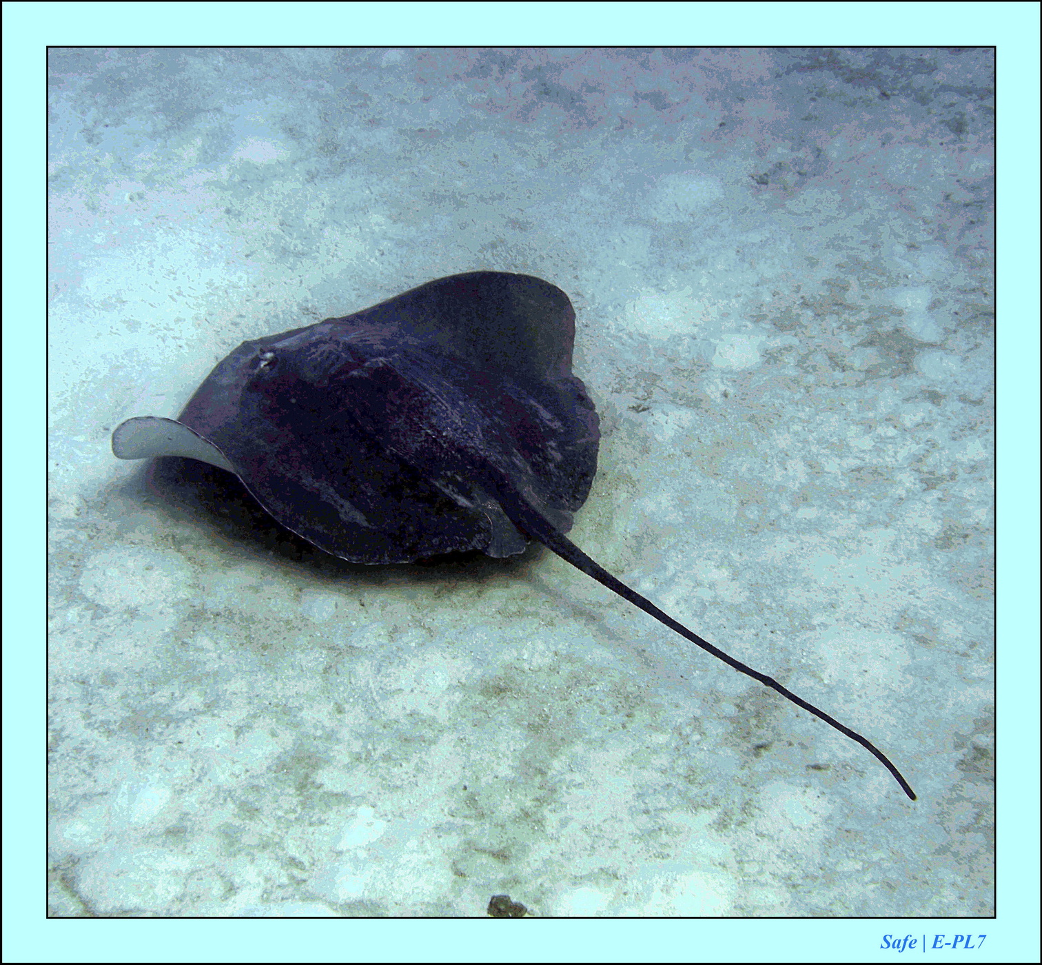 2023 - 07 - Sandies Bathala - 136